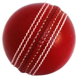 Cricket Balls