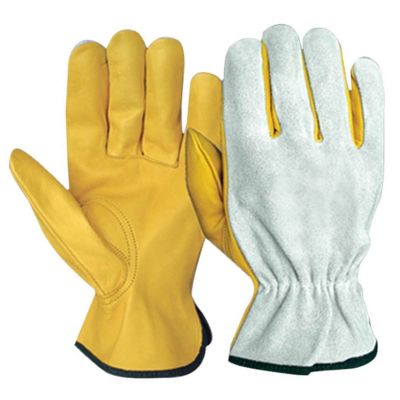 Driving Gloves