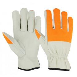 Driving Gloves